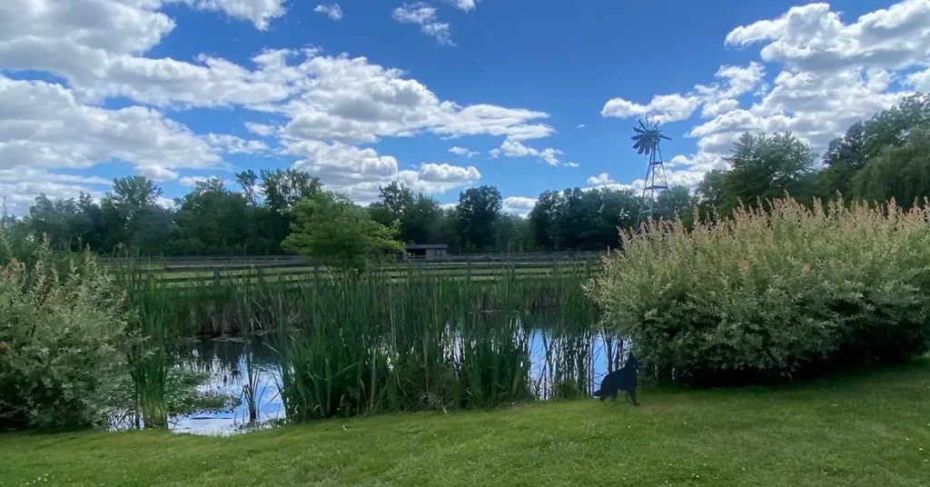 cecil_creek_mickleton_5