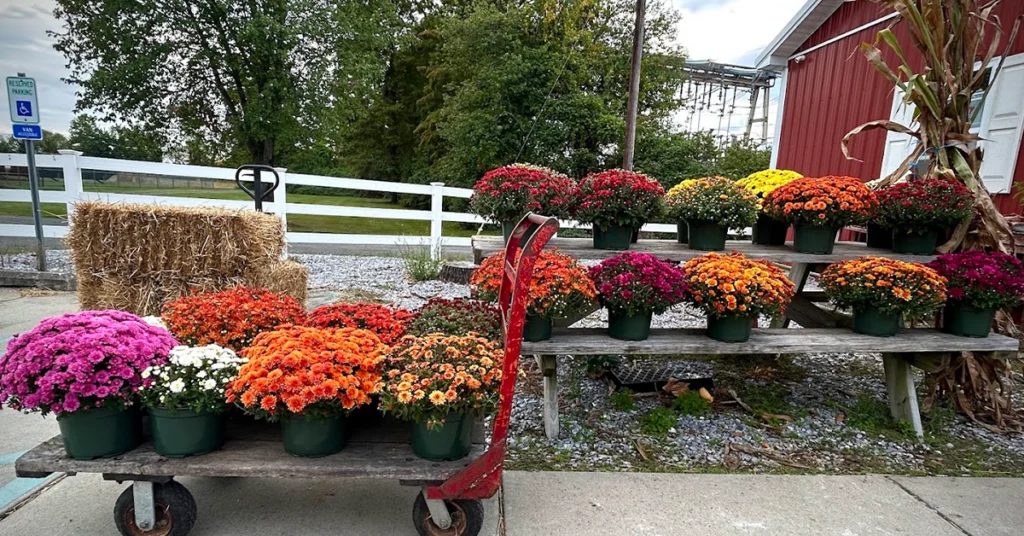 dehart_farm-market_thorofare_2