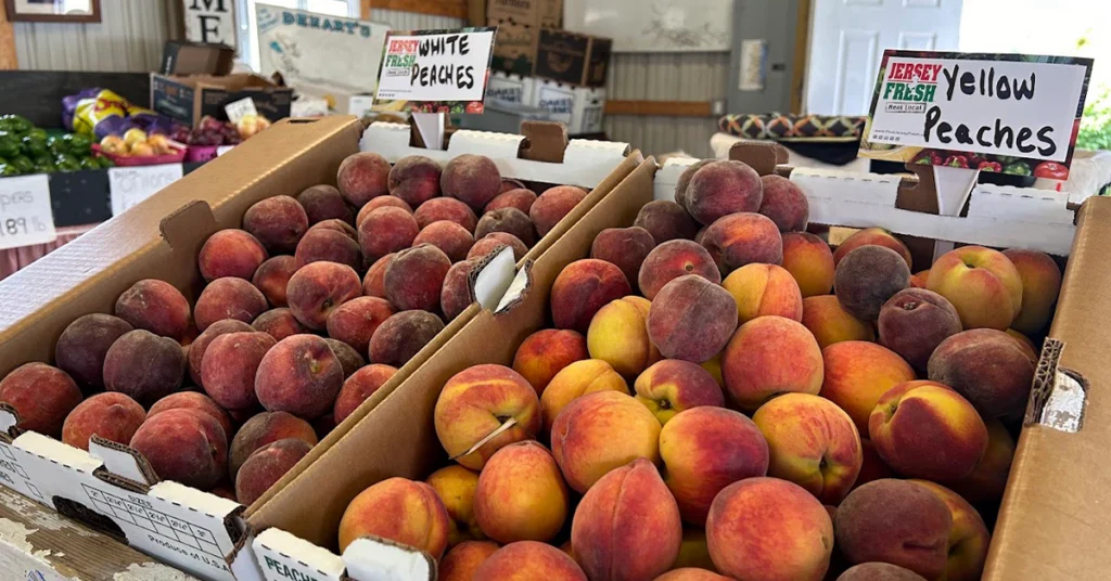 dehart_farm-market_thorofare_3
