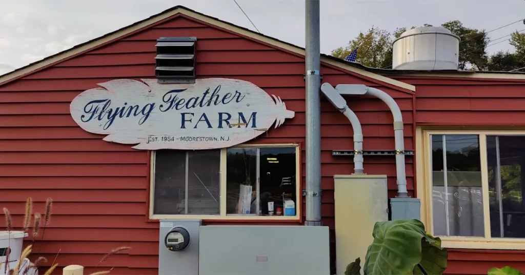 flying_feather_moorestown_3