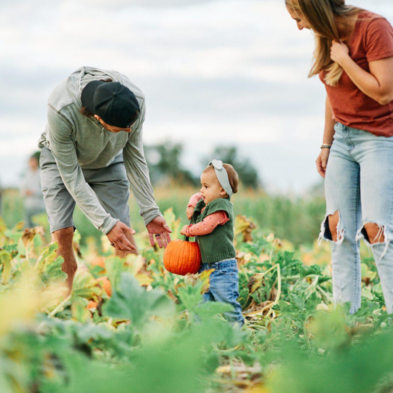 Kids and Parents picking pumpkins at Johns Farm