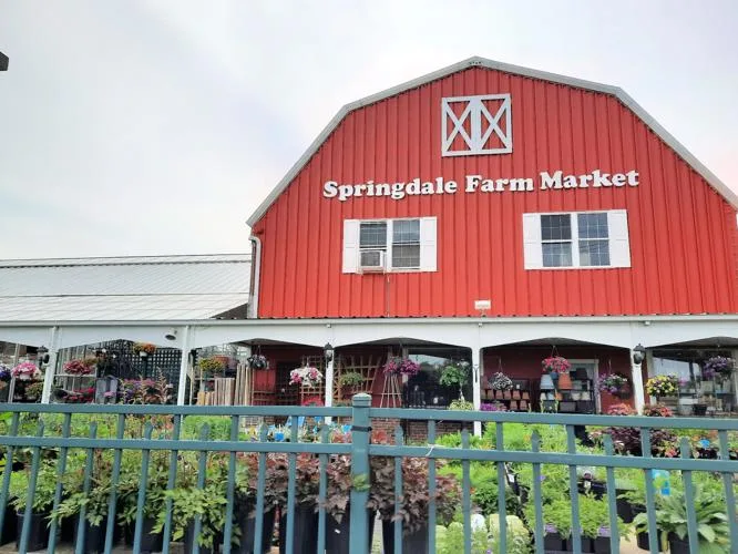 springdale_farm_market_cherry_hill_featured