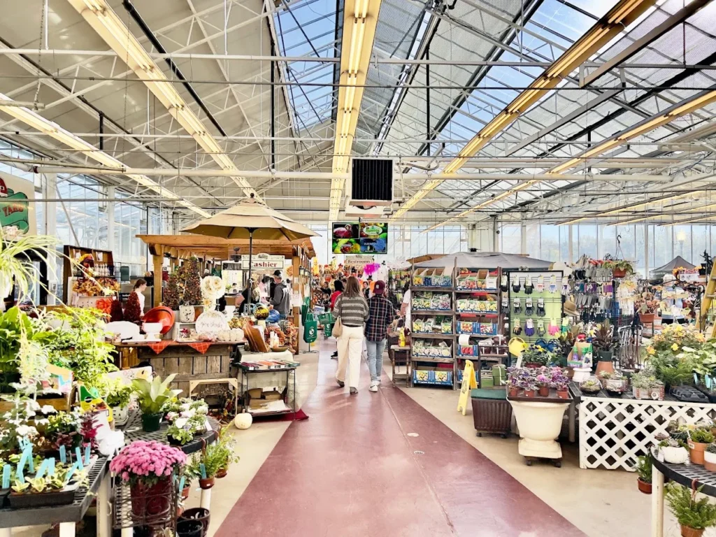 springdale_farm_market_cherry_hill_10