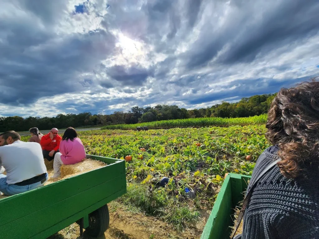 springdale_farm_market_cherry_hill_2