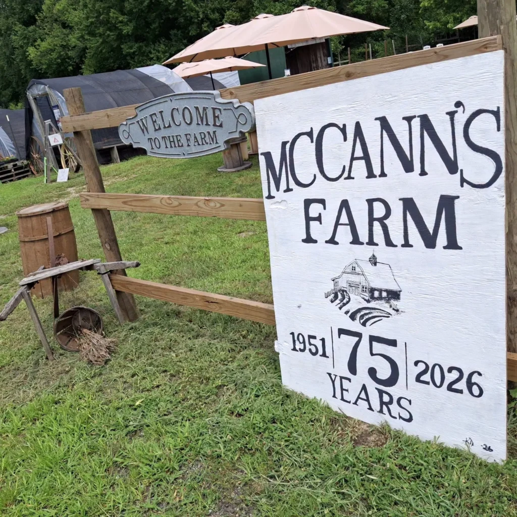 the_mccanns_farm_elk_featured