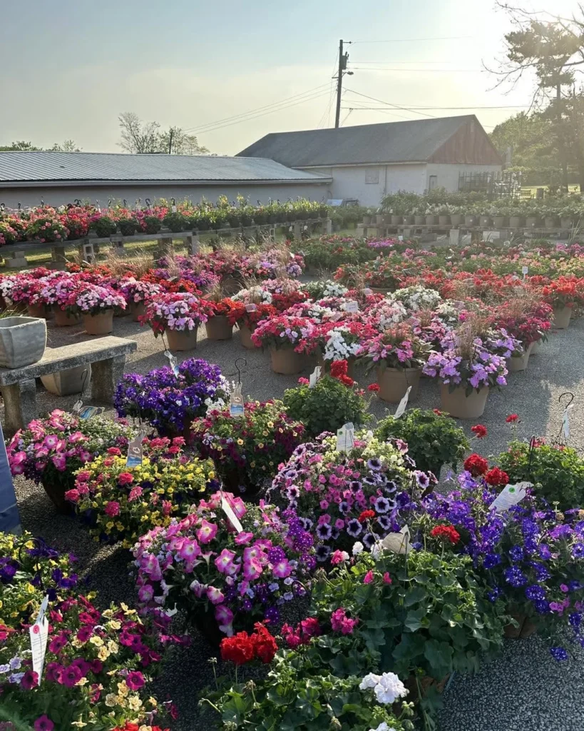 zimmermans_country_market_sewell_1