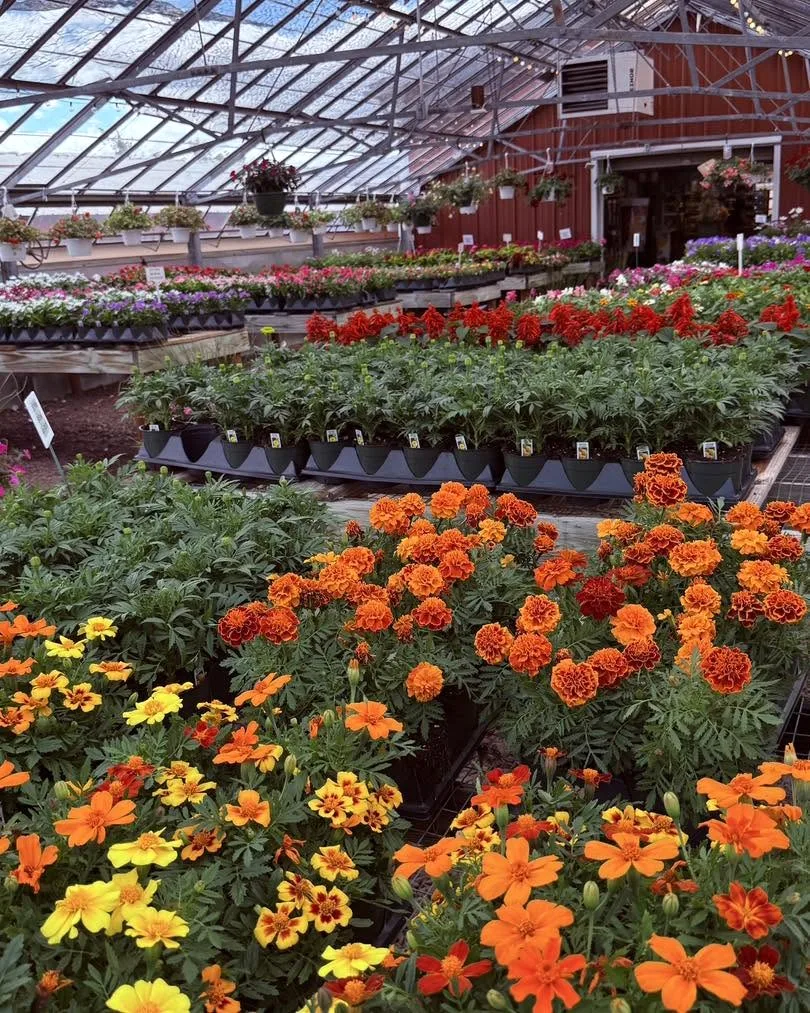 zimmermans_country_market_sewell_featured